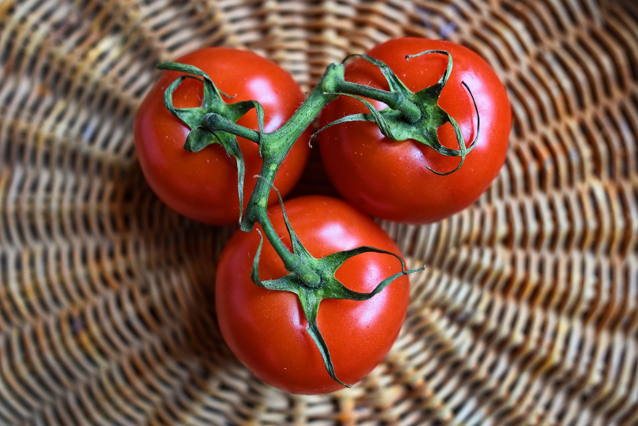 ¿Cómo se siembra el tomate y en qué tiempo?