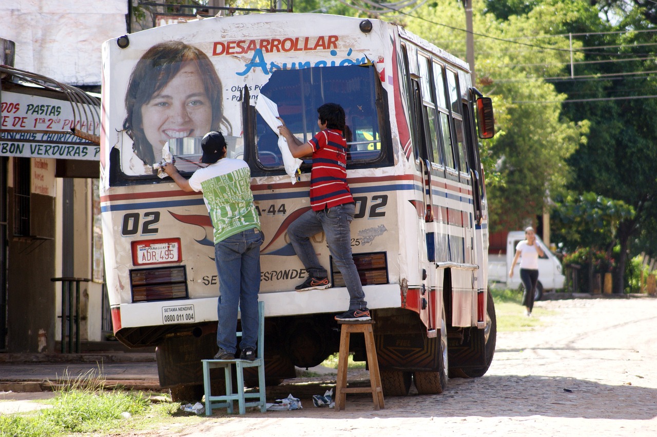 ¿Cuándo florecen los paraguayos?