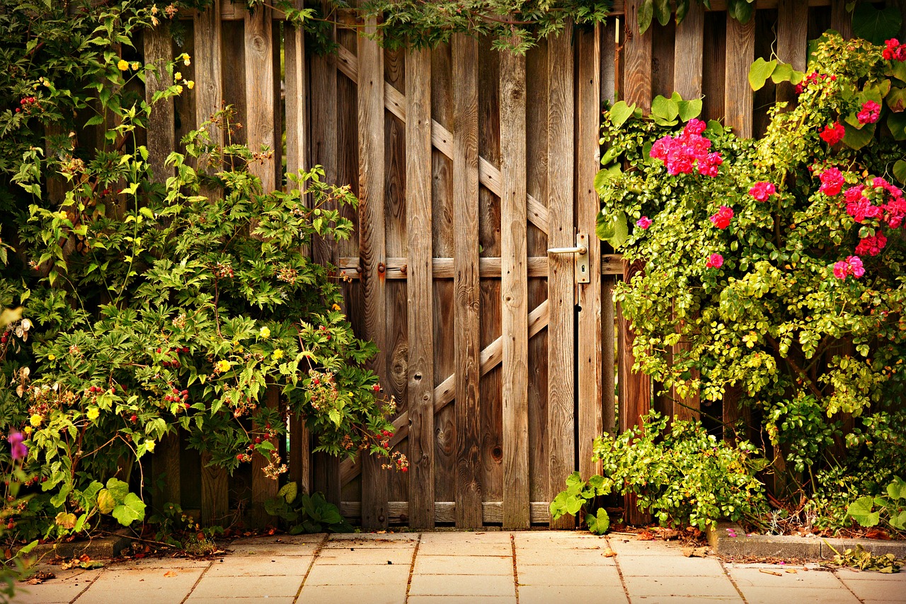 ¿Qué es un rosal de pie bajo?