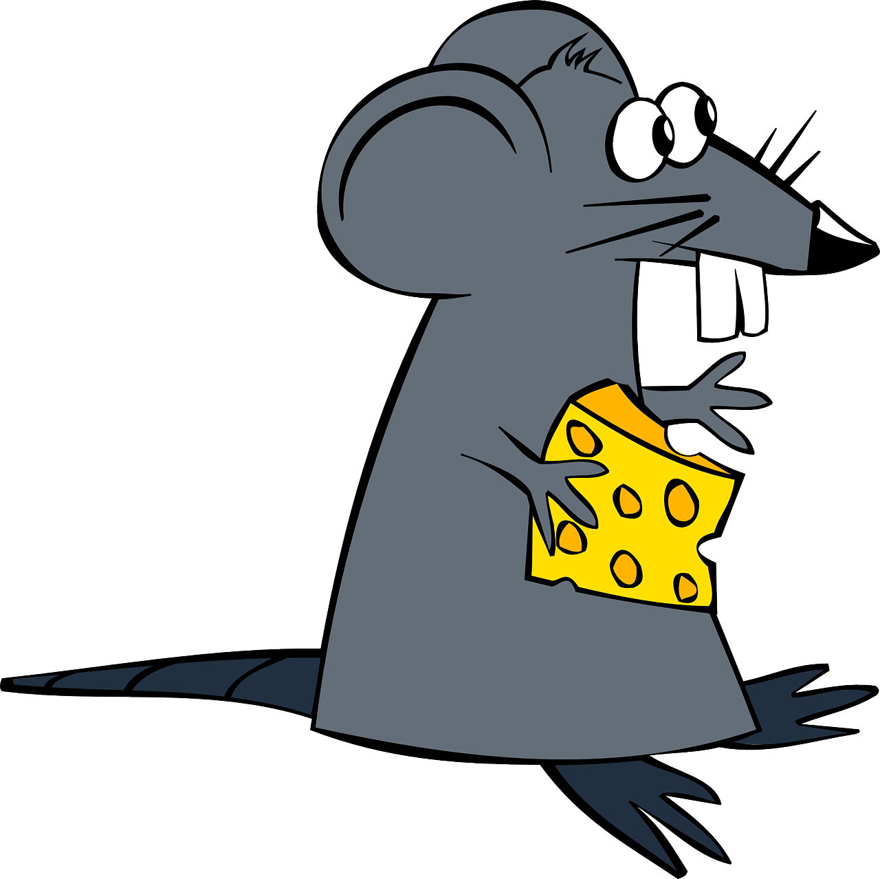 ¿Qué significa cuando hay ratón en casa?
