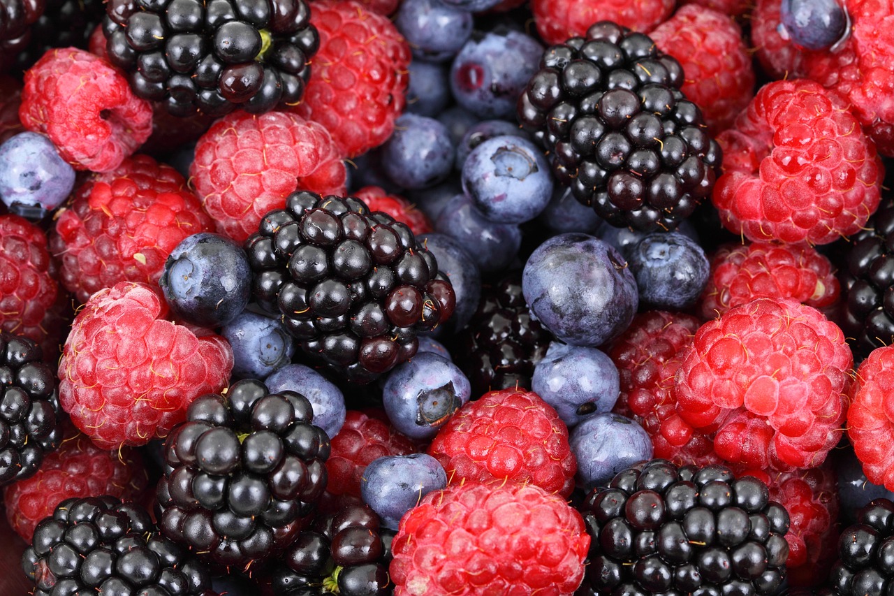 ¿Cómo se llama las plantas que producen frutos?
