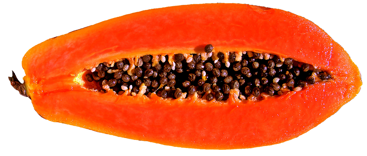 ¿Cuál es el origen de la papaya?