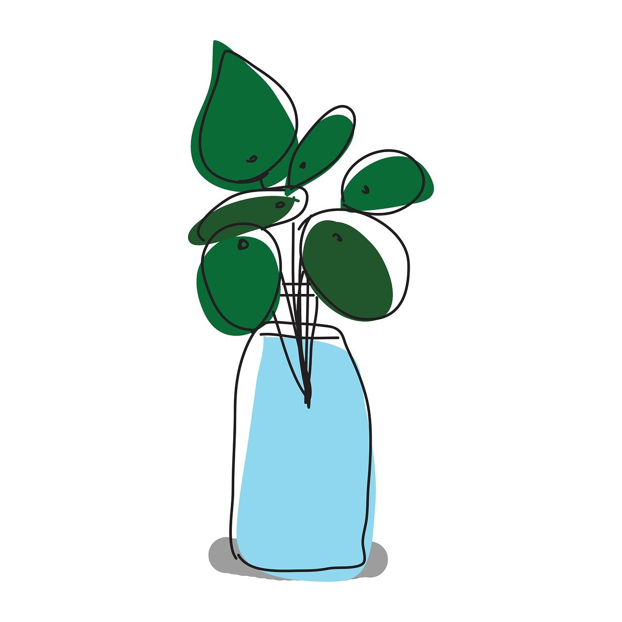 ¿Dónde colocar la Pilea?