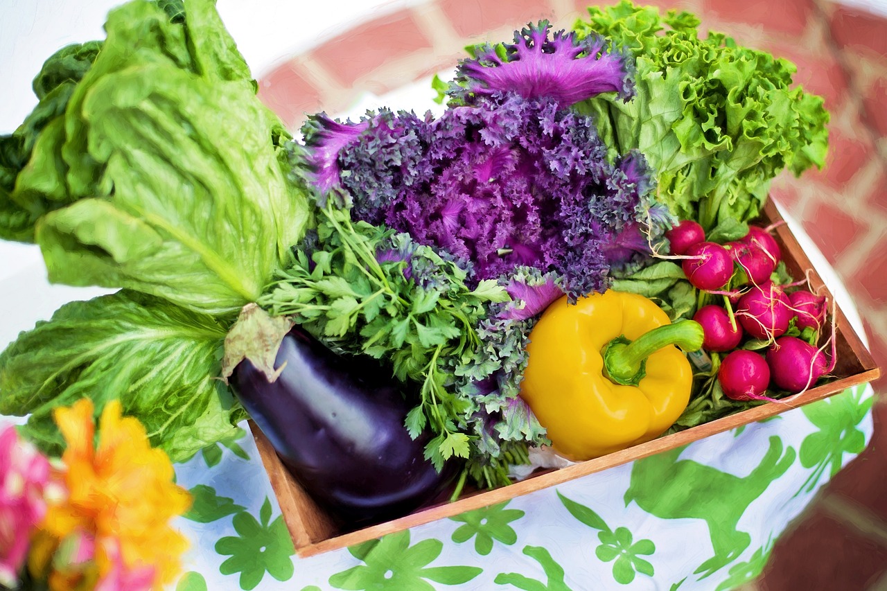 ¿Que se entiende por jardinería?