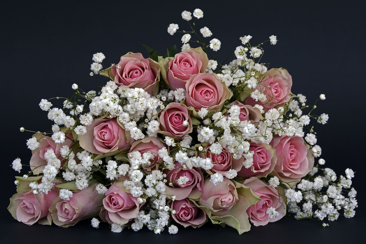 ¿Cuál es el mejor tiempo para plantar rosas?