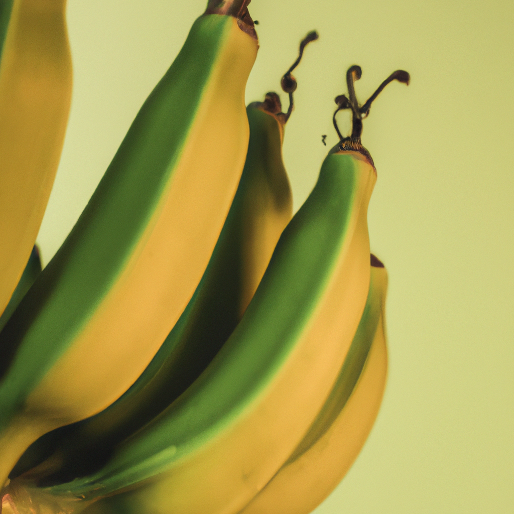 ¿Cómo se cuida una planta de banana?