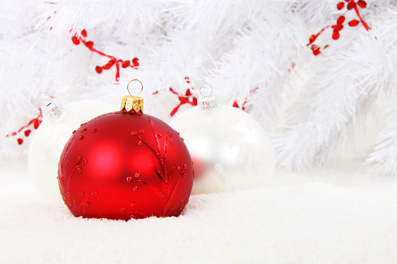 ¿Cuál es el mejor pino para Navidad?