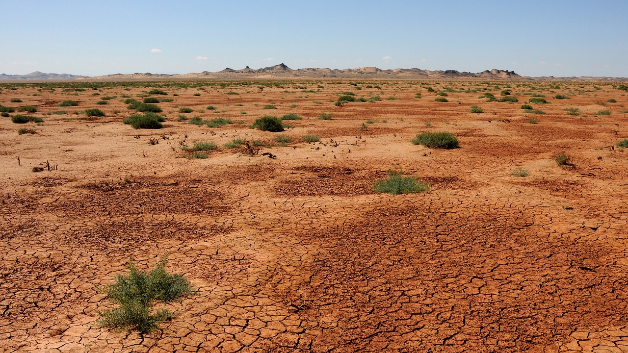 ¿Qué es la mancha de Mongolia?