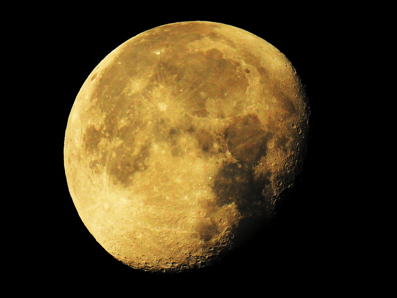 ¿Qué se hace en luna menguante con las plantas?