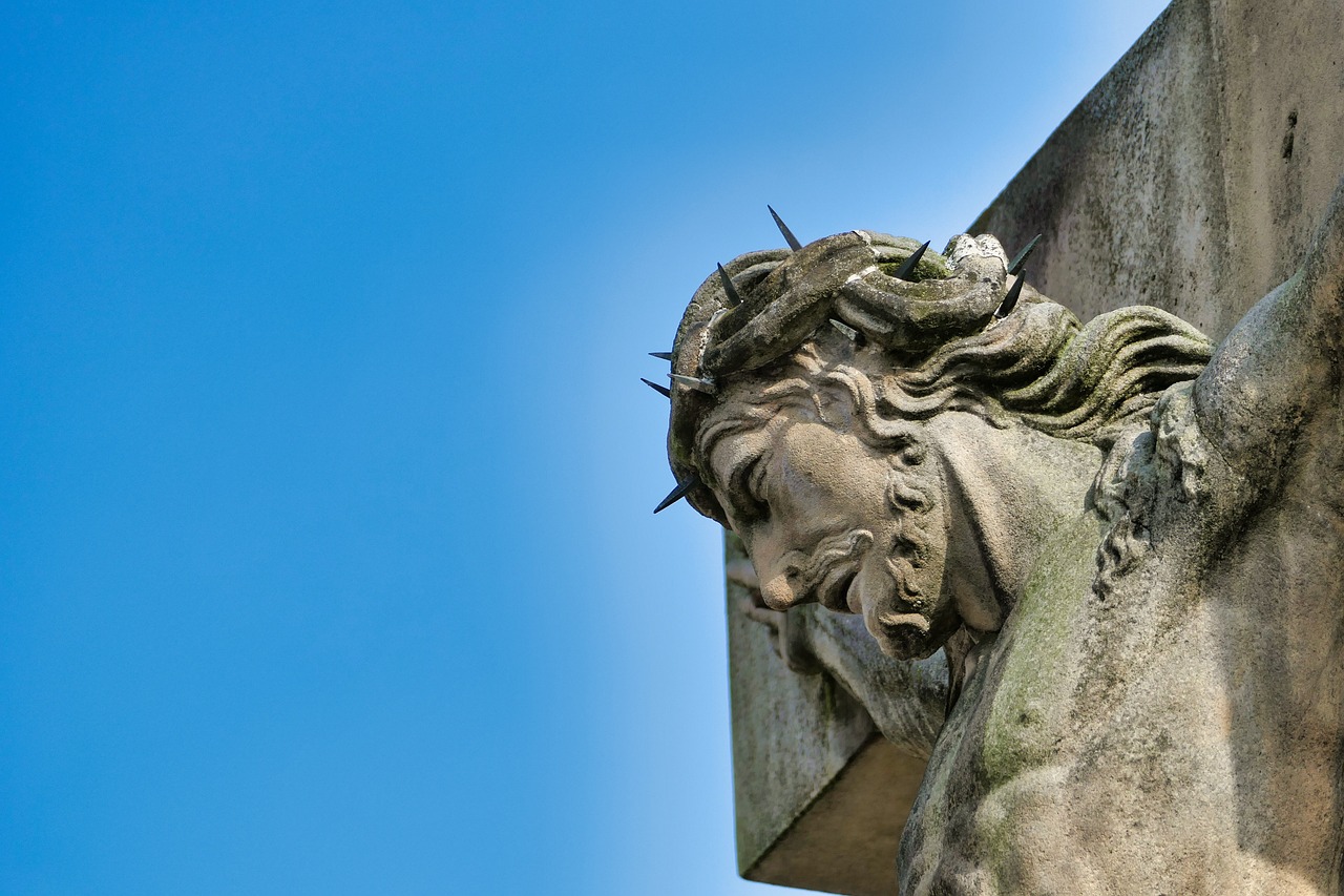 ¿Qué significa tener una planta de Corona de Cristo?