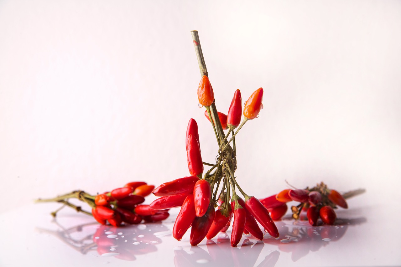 ¿Cuáles son las enfermedades del pimiento?