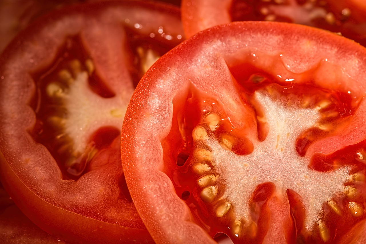 ¿Cuándo se cosecha el tomate en España?