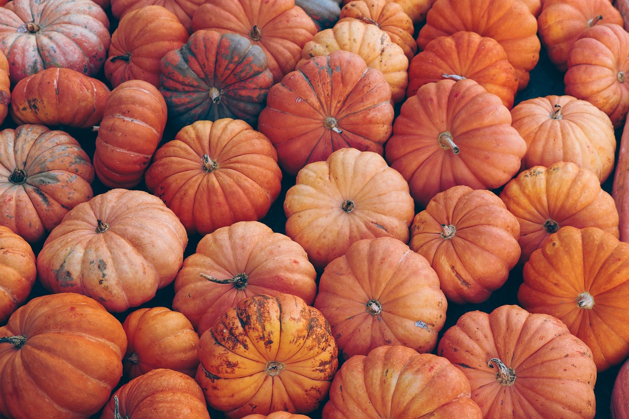 ¿Qué flor representa a octubre?