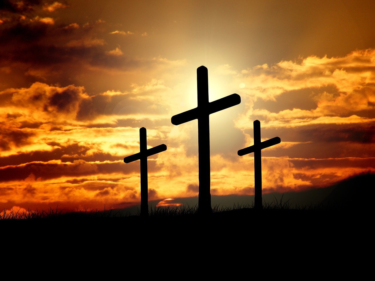 ¿Qué significa tener una plante de la Corona de Cristo?