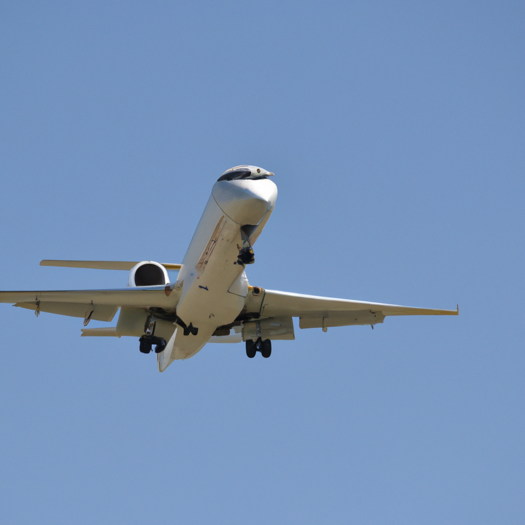 ¿Cómo se hace el acodo aéreo?