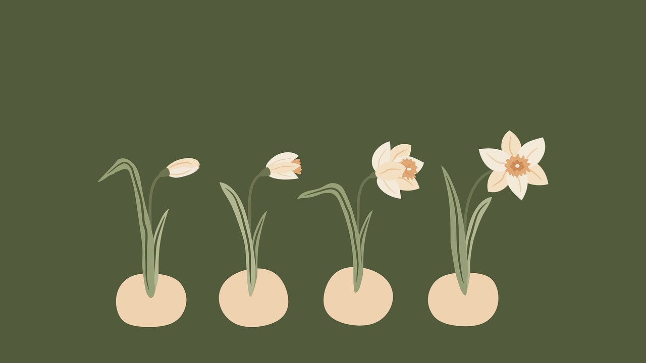 ¿Cómo hacer que las hojas de la flor de Pascua se ponga roja?