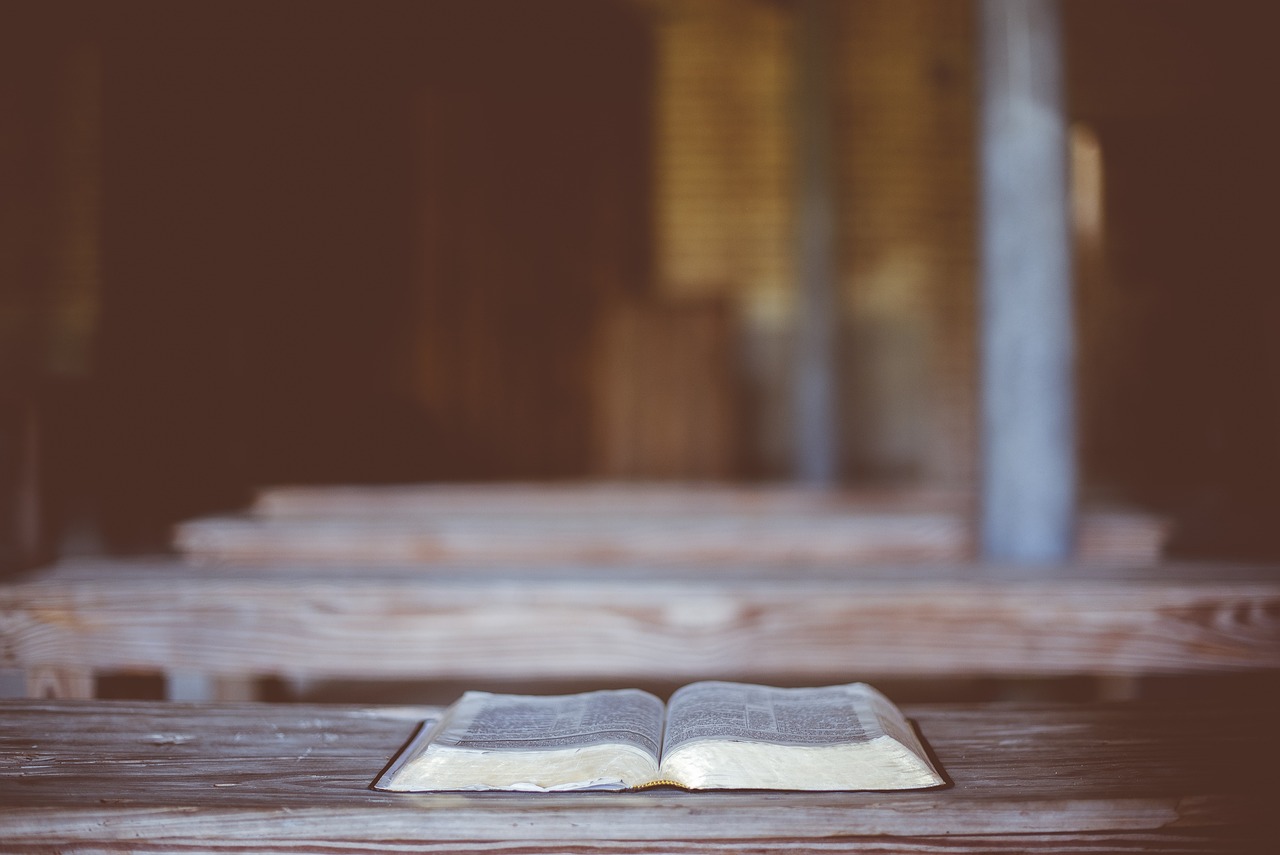 ¿Qué significa el cedro del Líbano en la Biblia?