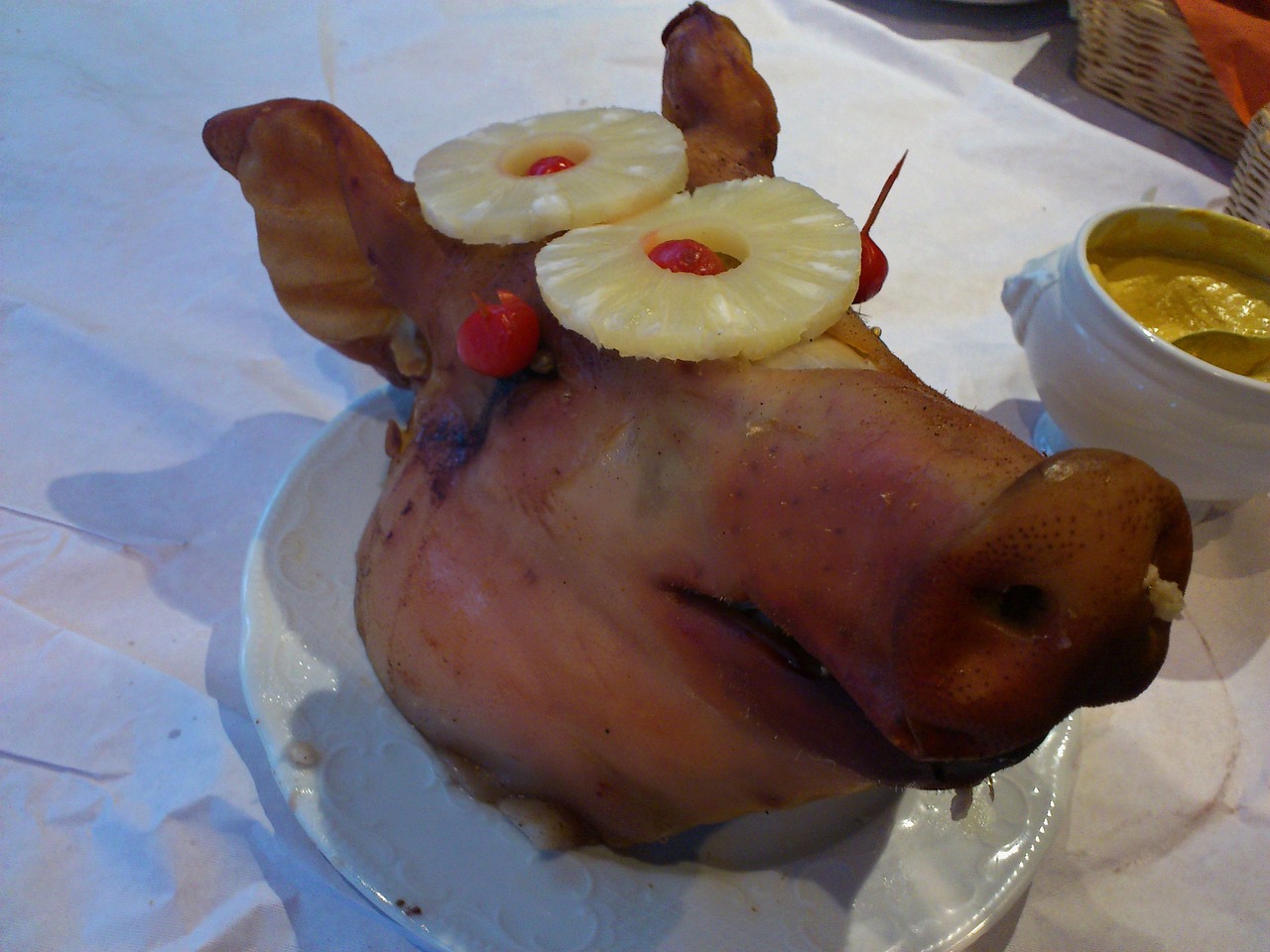 ¿Qué tipos de cochinillas hay?