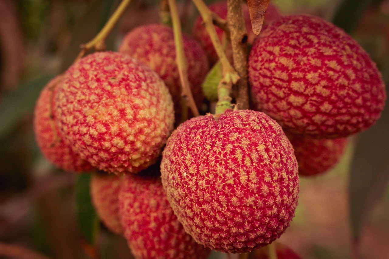 ¿Cuánto cuesta la fruta lichi?