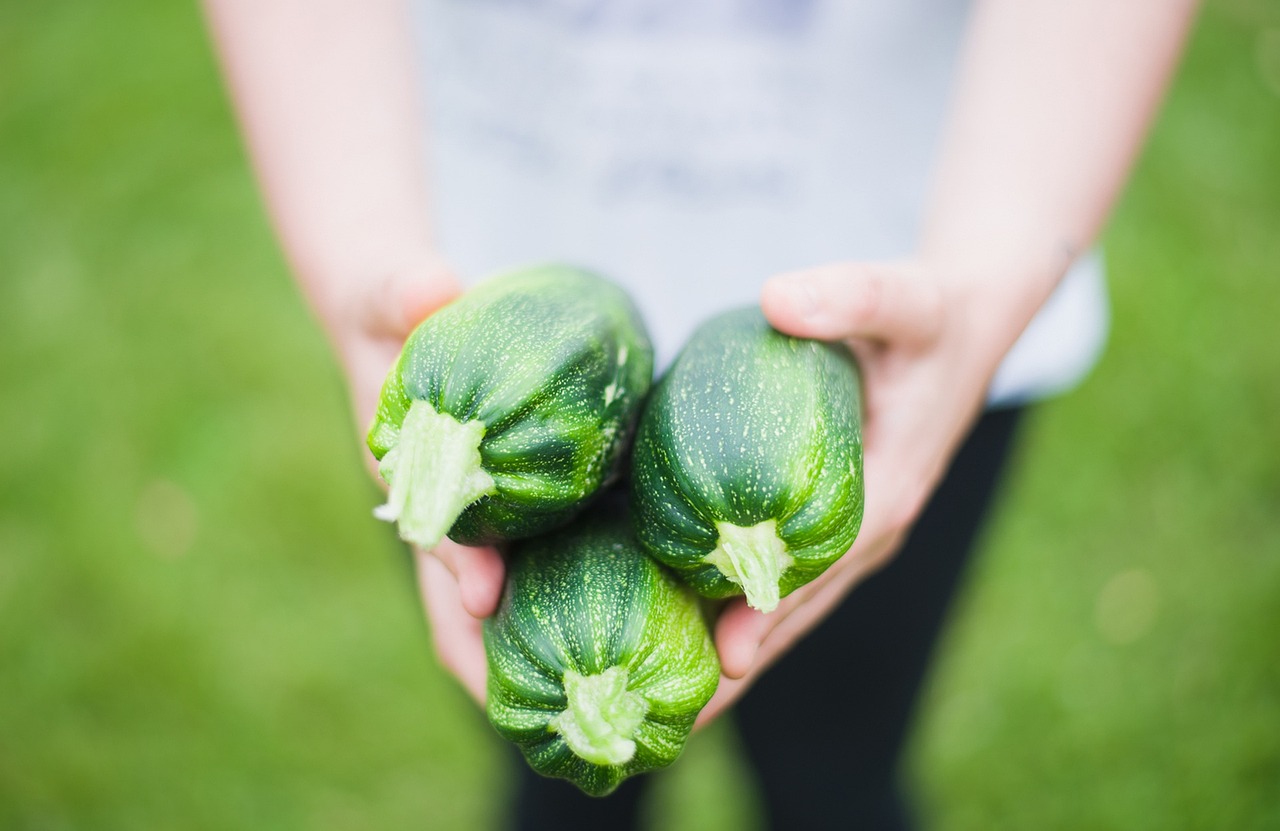 ¿Qué son los vegetales y ejemplos?