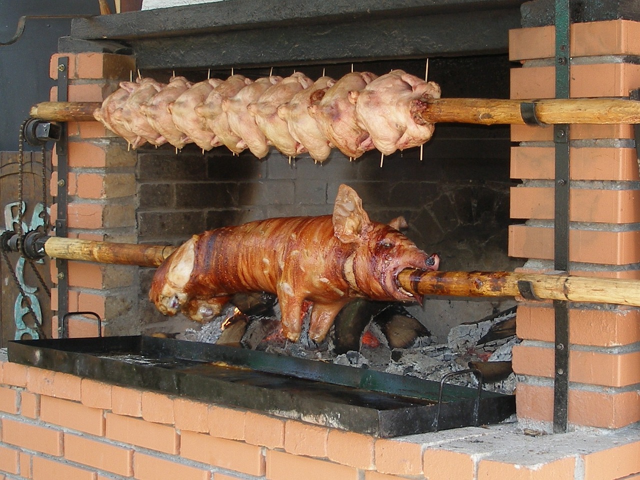 ¿Cómo combatir la cochinilla en los cítricos?
