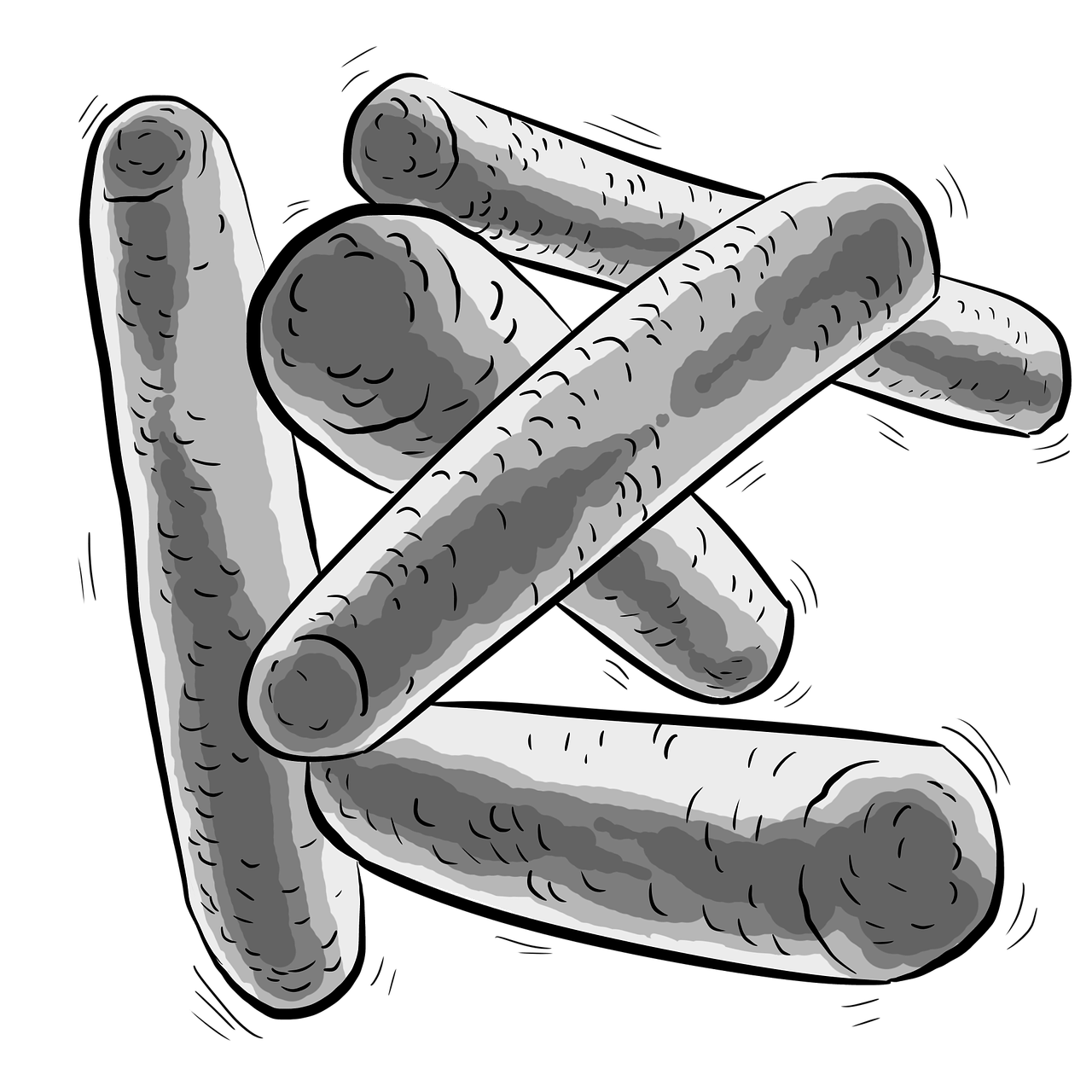 ¿Cuándo echar Bacillus?
