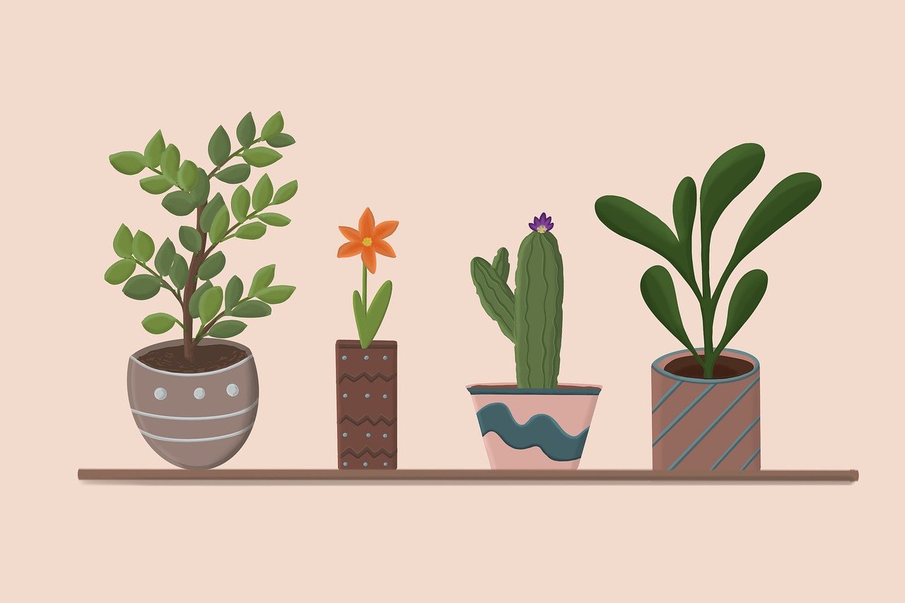 ¿Qué árboles frutales se pueden dar en maceta?