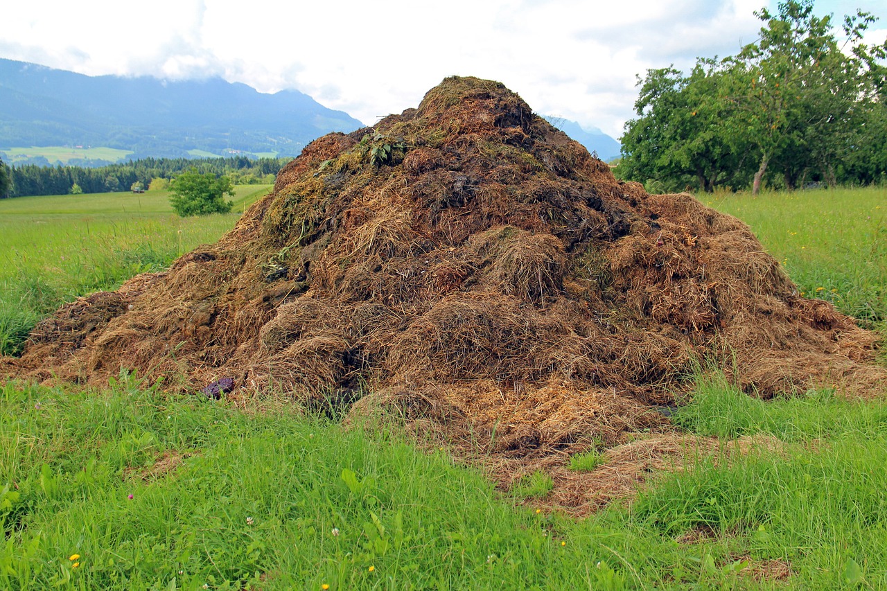 ¿Cómo se hace el compost casero?