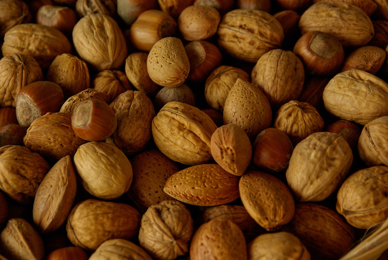 ¿Qué tipo de fruto es la avellana?
