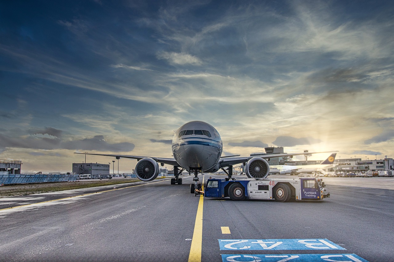 ¿Cuánto tiempo se deja el acodo aéreo?