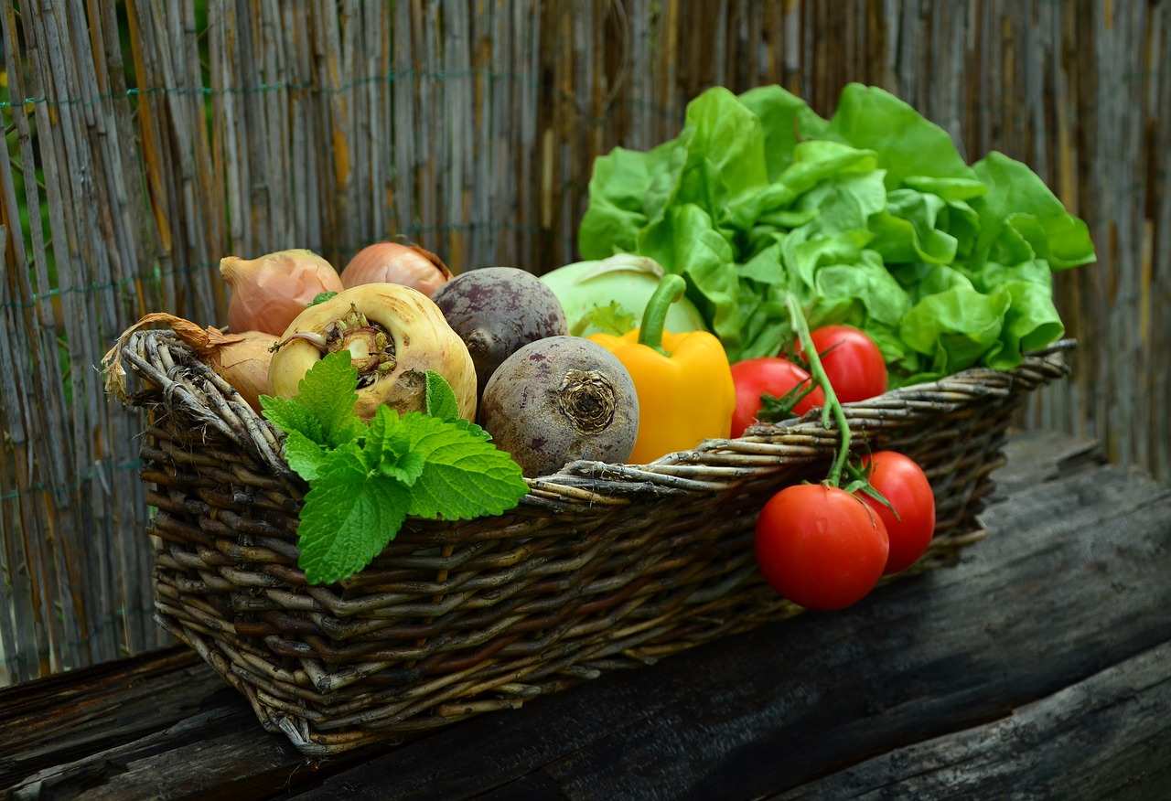 ¿Dónde venden plantas para jardín?