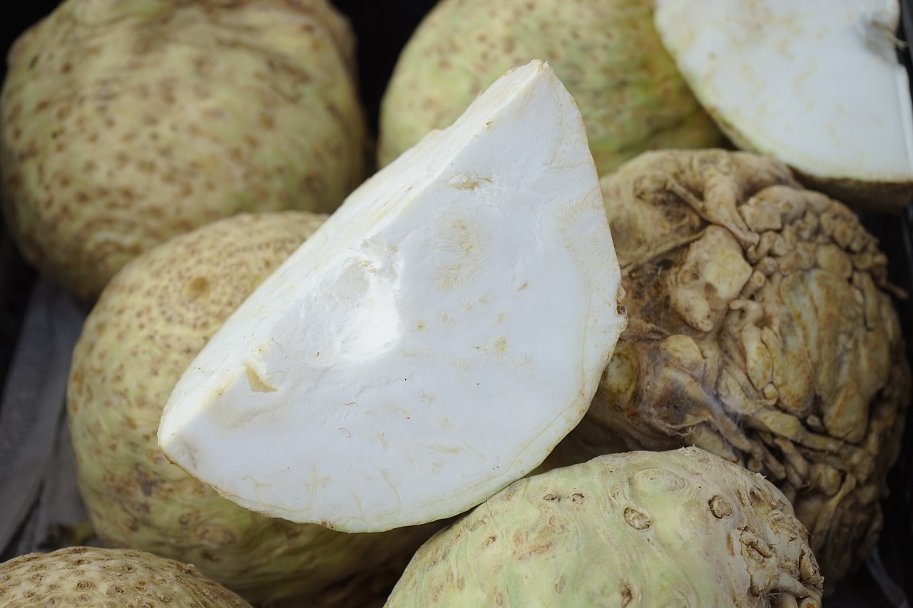 ¿Cómo se cultiva el apio?