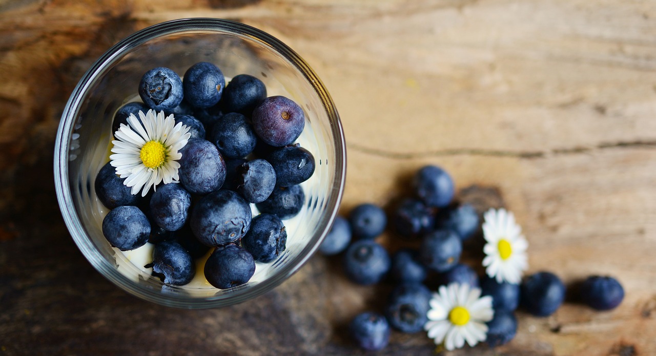 ¿Cuánto tiempo tardan en dar fruto los arándanos?
