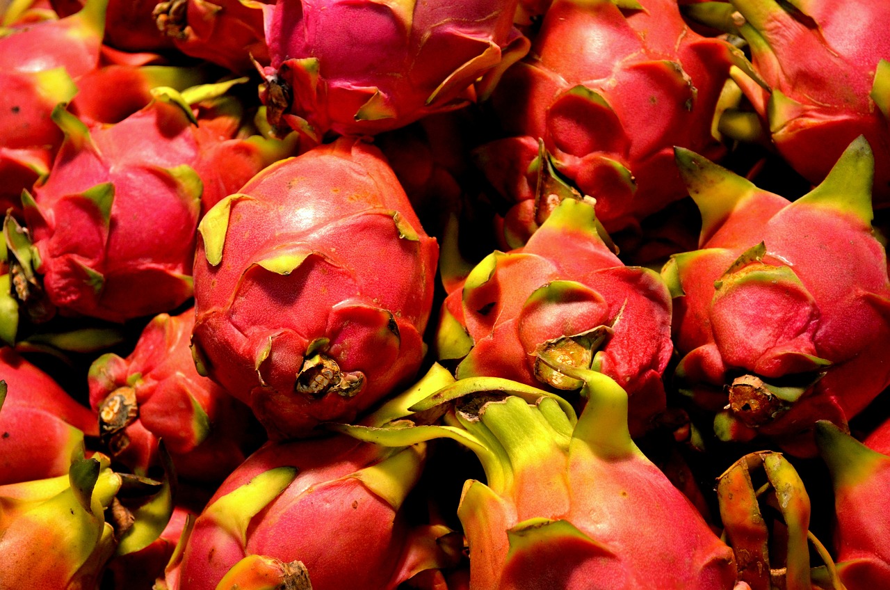 ¿Cómo se llama el árbol de la pitaya?