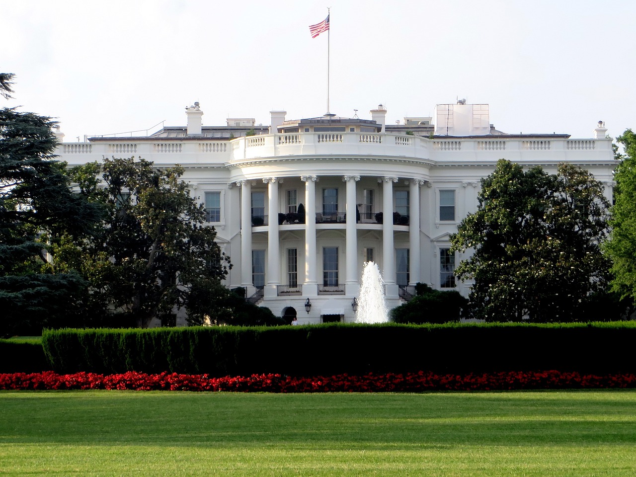 ¿Cómo se cuida el potus?
