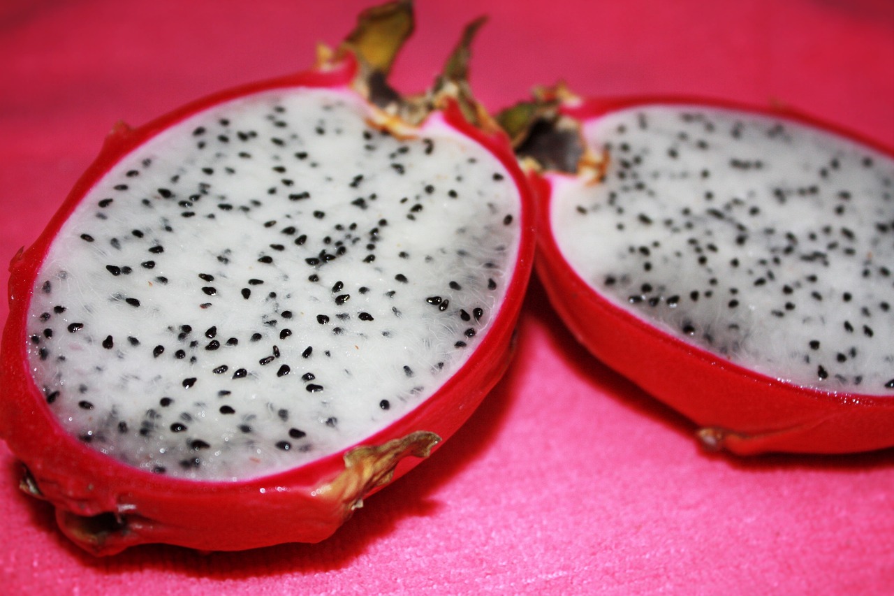 ¿Cómo se debe plantar la pitahaya?