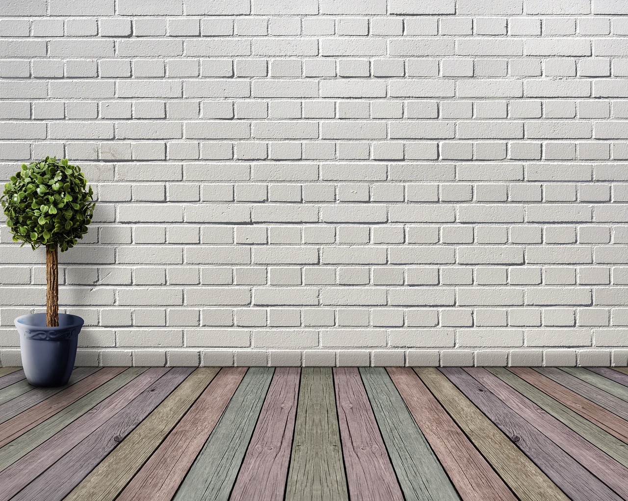 ¿Cómo se llaman las plantas para interior?
