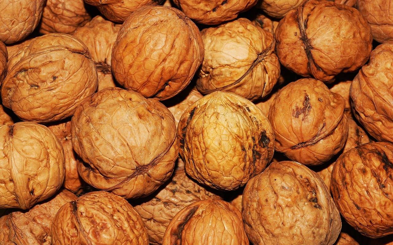 ¿Cuál es el árbol de la nuez?