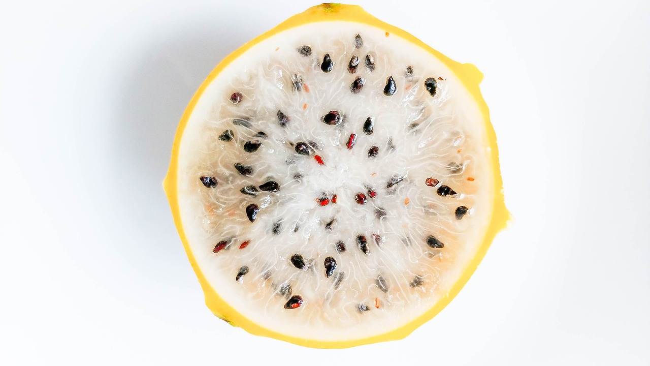 ¿Cuánto tiempo tarda la pitaya en dar frutos?