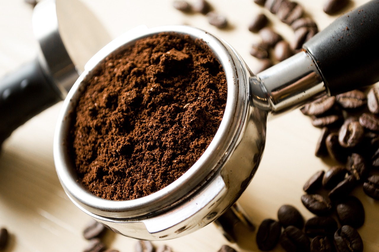 ¿Qué plantas se pueden abonar con café?