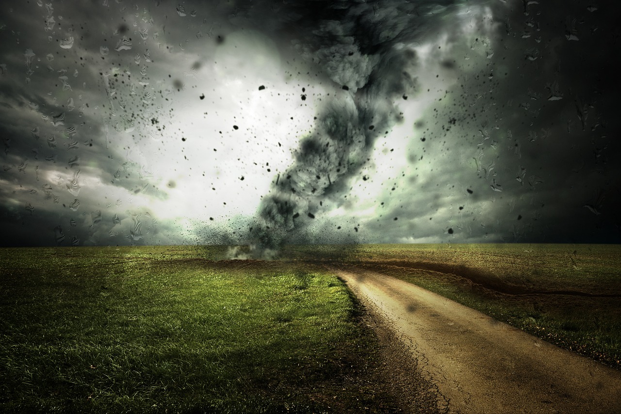 ¿Qué se considera clima cálido?