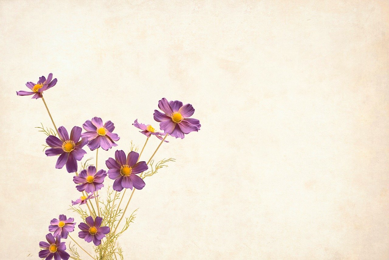 ¿Qué se necesita para diseñar un jardín?