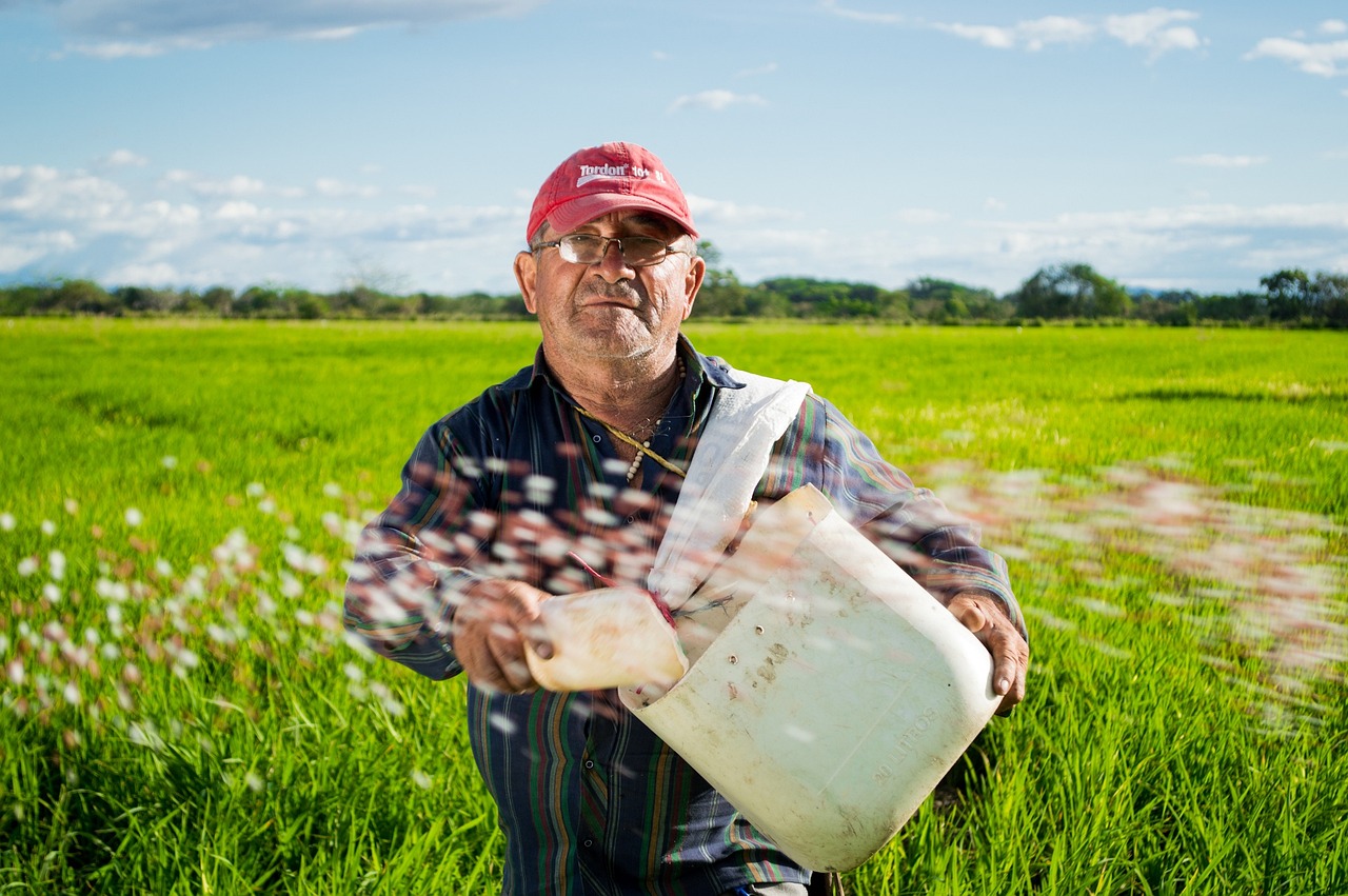 ¿Cuándo se siembra la pradera?