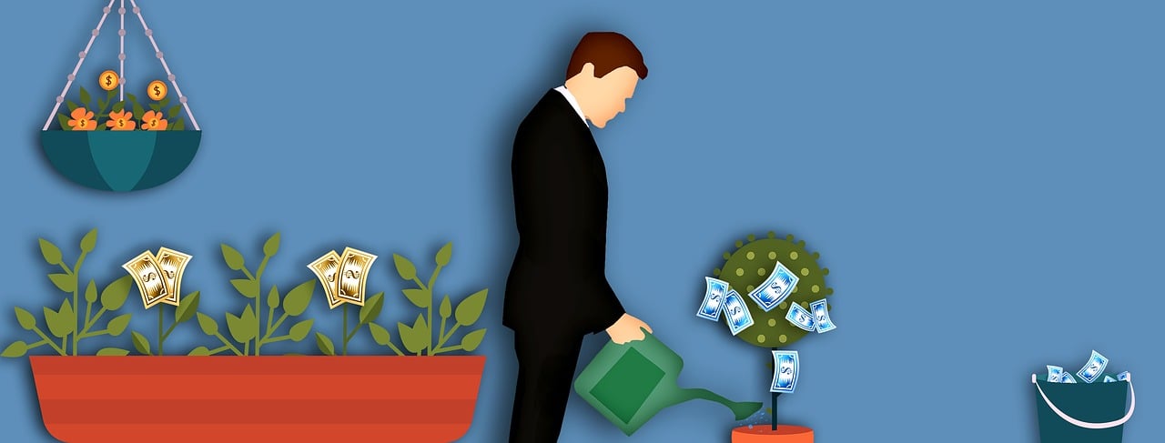 ¿Cómo saber cuándo y cuánto regar?