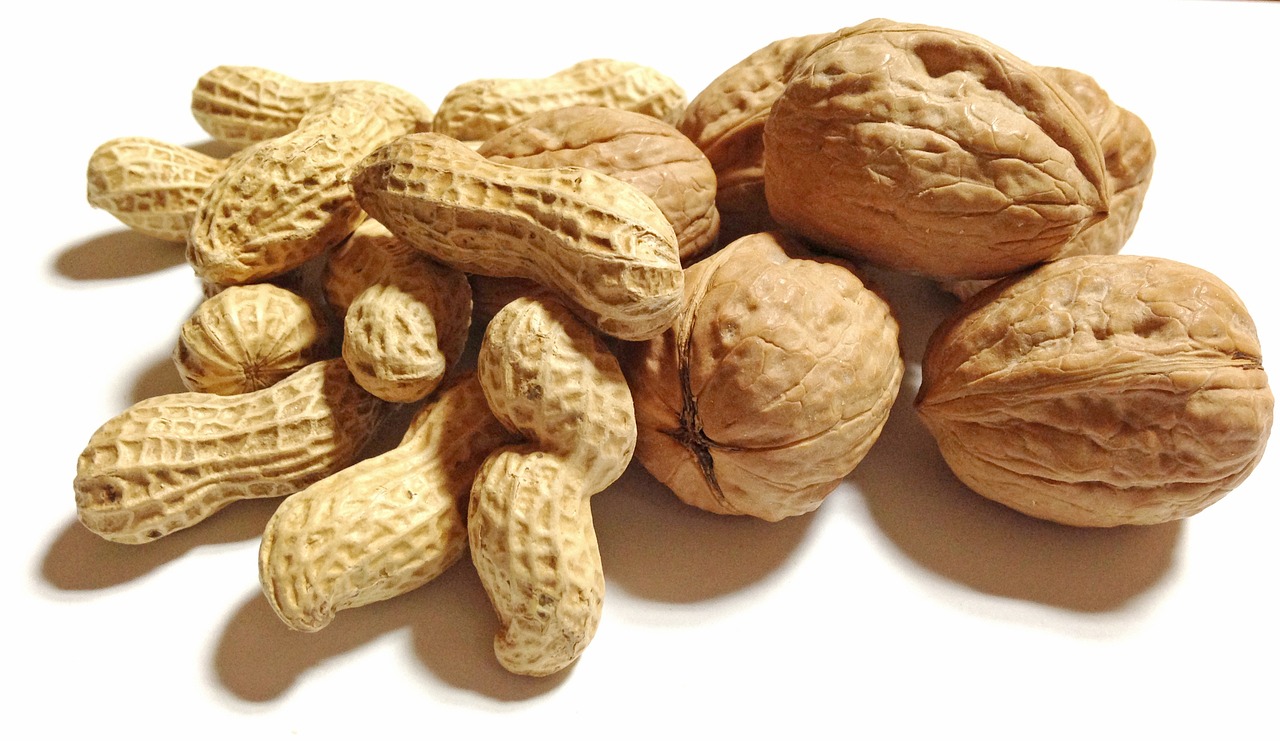 ¿Cuál es la mejor variedad de nogal?