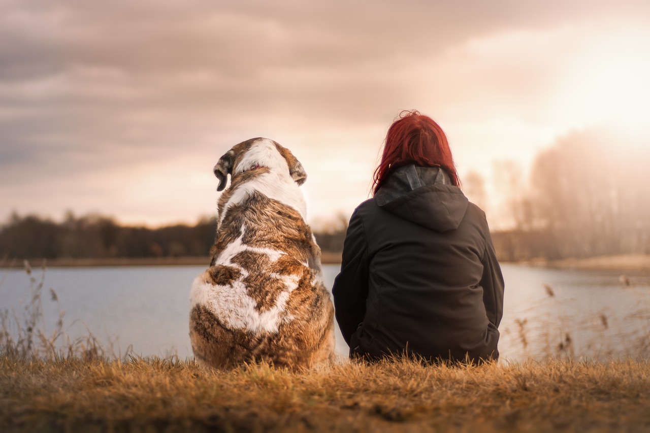 ¿Qué hacer para que mi perro no saque la tierra de las macetas?