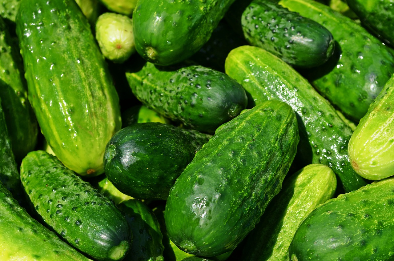 ¿Cuáles son los alimentos de la temporada?