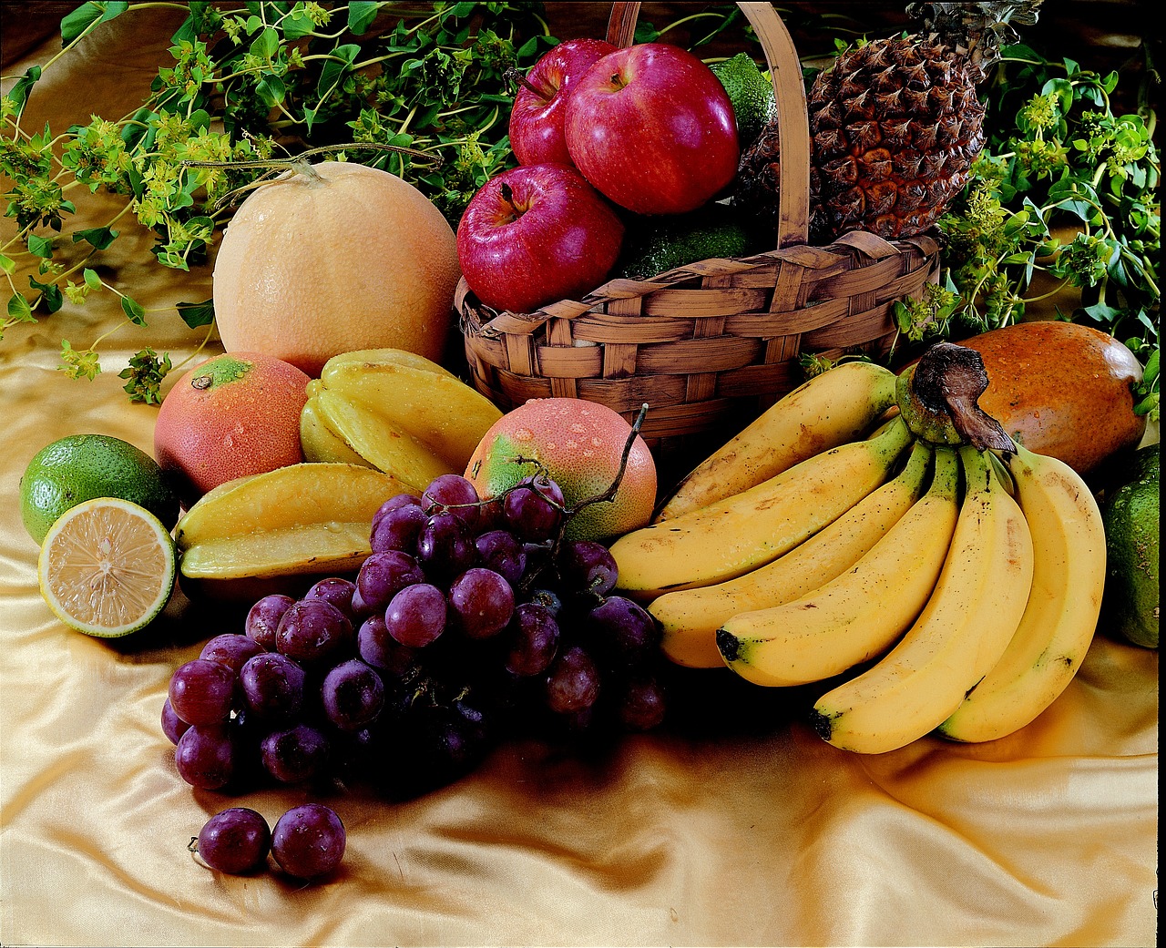 ¿Por qué se seca el pino limón?