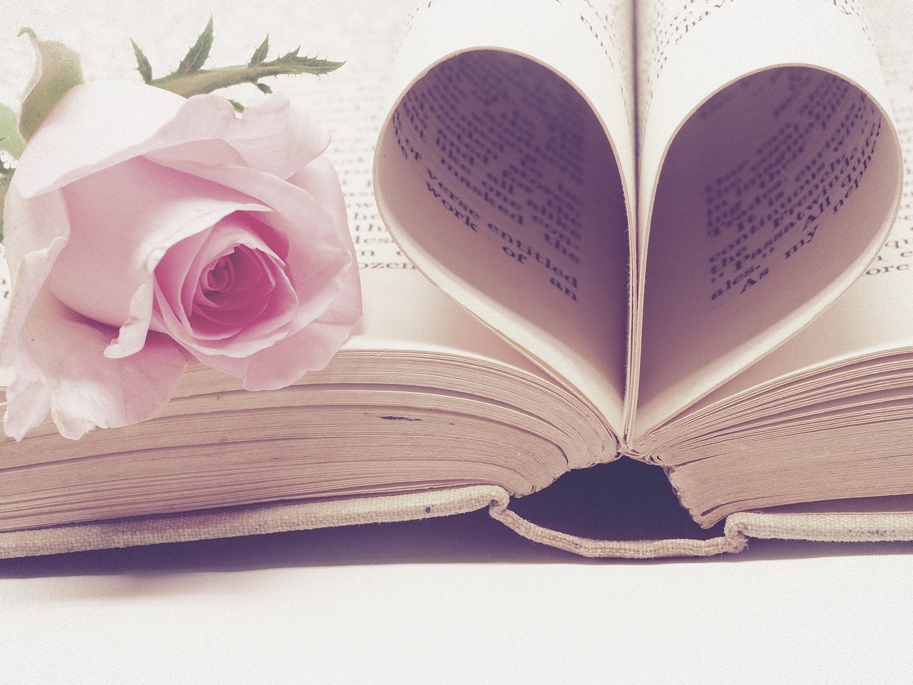 ¿Cómo hacer que le salga raíz a una rosa?