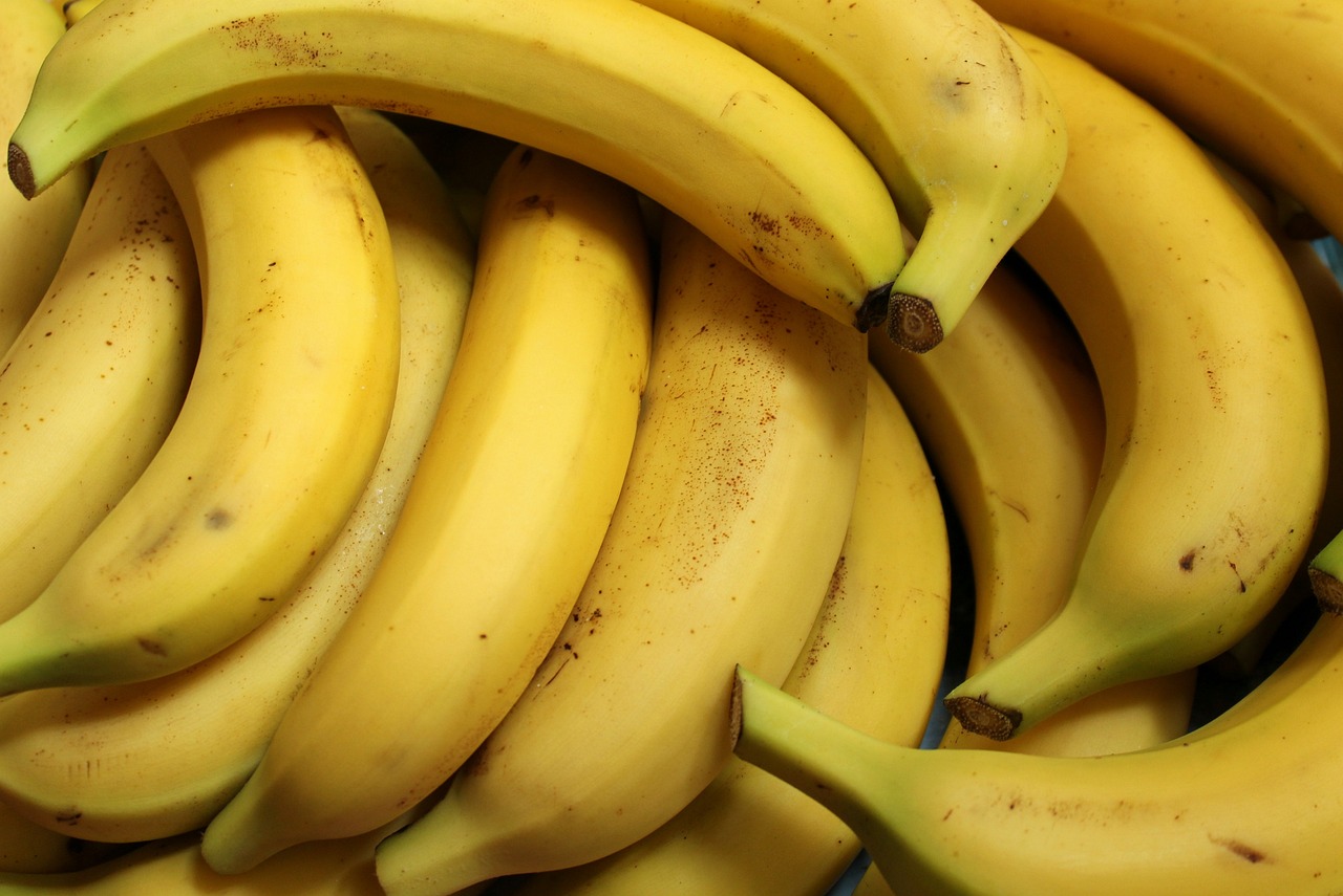 ¿Qué es el plátano y sus propiedades?